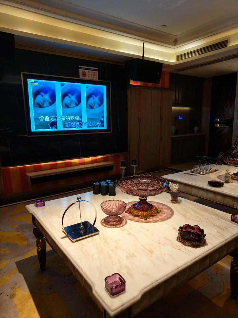 邯郸商务ktv选择商务ktv好吗-临漳县ktv预定